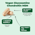 Joint Support Capsules Factory - OEM Turmeric Glucosamine Chondroitin