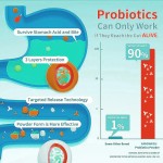 Probiotic Powder Factory - OEM Vegan Digestive Gut Health Prebiotic