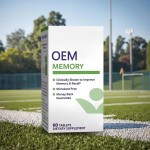 Brain Health Tablets Manufacturer - OEM Bacopa Monnieri Memory Nootropic