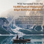 Shilajit Resin Supplier - OEM Himalayan Fulvic Acid Minerals