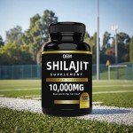 Shilajit Capsules Factory - OEM Energy Booster Immune Support