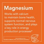 Magnesium Citrate Capsules Manufacturer - OEM Enzyme Nervous System 240 Veggie