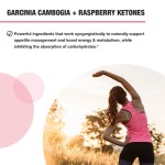 Weight Loss Capsules Manufacturer - OEM Night Time Belly Fat Burner Women