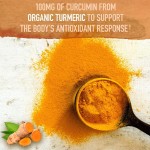 Curcumin Capsules Manufacturer - OEM Probiotics Black Pepper Digestion Joint