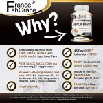 Maca Root Capsules Supplier - OEM Extract Energy Mental Health Strength