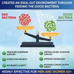 Energy Gel Manufacturer - OEM Performance Support Sports Nutrition Supplement