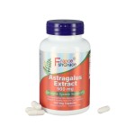 Astragalus Capsules Factory - OEM 500mg Root Extract Immune 150 Veggie