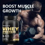 Whey Protein Powder Manufacturer - 3lb Matcha Energy Providing