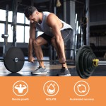 Whey Protein Powder Supplier - 5lbs Isolate Gold Custom