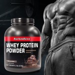 Whey Protein Powder Supplier - Chocolate Flavor Sports Fitness
