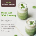 Matcha Collagen Powder Supplier - Hot Commodity Foreign Trade