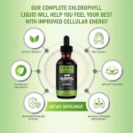 Chlorophyll Drops Manufacturer - 60ml Source Factory Production