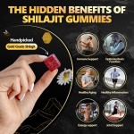 Shilajit Gummies Factory - 30 Gold Customized Source Factory