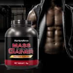 Weight Gain Supplement Supplier - Whey Protein Mass Gainer