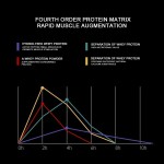 Whey Protein Powder Supplier - 2lb Chocolate OEM Cross Border