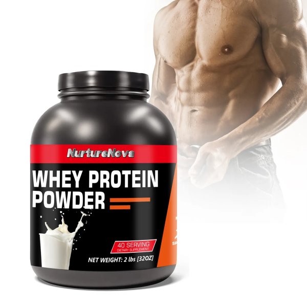 Whey Protein Powder Manufacturer - 1kg 2lbs Milk Flavor Source