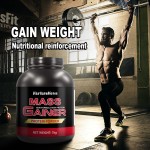 Weight Gain Supplement Supplier - Whey Protein Mass Gainer