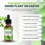 Moringa Droplets Manufacturer - 60ml Leaf Extract Supplement