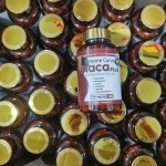 Maca Capsules Supplier - 120 Capsules Original Factory