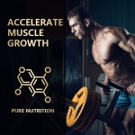 Whey Protein Powder Factory - Custom Flavor Prostate Nutrition