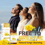 Mullein Drops Factory - 60ml Immunity Boost Supplement