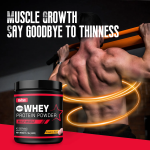 Whey Protein Powder Manufacturer - 5lbs Isolate Muscle Builder