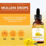Mullein Drops Factory - 60ml Immunity Boost Supplement
