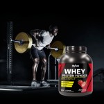 Whey Protein Powder Manufacturer - High Immunity Muscle Support