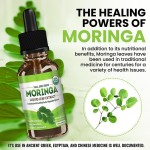 Moringa Droplets Manufacturer - 60ml Leaf Extract Supplement