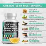 Sea Moss Capsules Supplier - 60-Count Vegetarian Herbal Extract