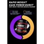 Whey Protein Powder Manufacturer - 5lbs Isolate Muscle Builder