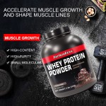 Whey Protein Powder Supplier - Chocolate Flavor Sports Fitness