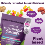 Mushroom Gummies Manufacturer - Cordyceps Reishi Memory Booster