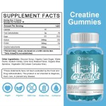 Creatine Gummy Bears Factory - Pre Workout Energy Boost 3000mg