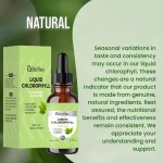 Chlorophyll Drops Factory - Halal Gluten Free Energy Immune