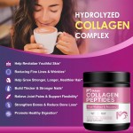 Multi Collagen Powder Factory - Type I II III V X Hyaluronic