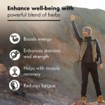 Shilajit Gummies Factory - Himalayan Organic 85 Minerals Custom