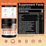 Mushroom Coffee Powder Supplier - Lion 10 in 1 Reishi Complex