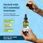 Sea Moss Liquid Drops Factory - 98 Minerals Immune Joint