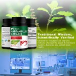 Haritaki Capsules Manufacturer - Vegan Herbal Rejuvenation Detox