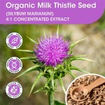 Milk Thistle Gummies Manufacturer - Hangover Recovery Liver Detox