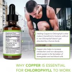 Chlorophyll Drops Factory - Halal Gluten Free Energy Immune