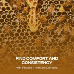 Propolis Capsules Manufacturer - Natural Immune Support Herbal