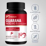 Guarana Capsules Factory - Natural Energy Physical Performance