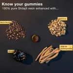 Shilajit Gummies Factory - Himalayan Organic 85 Minerals Custom