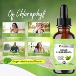 Chlorophyll Drops Factory - Halal Gluten Free Energy Immune