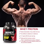Whey Protein Powder Factory - Halal Isolate Weight Gain