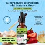 Sea Moss Liquid Drops Factory - 98 Minerals Immune Joint