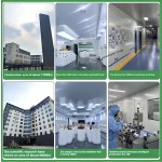 Creatine Monohydrate Powder Manufacturer - OEM Strength Recovery Sports