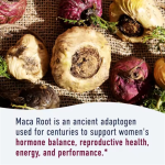 Maca Root Capsule Manufacturer - Natural Organic Women Herbal